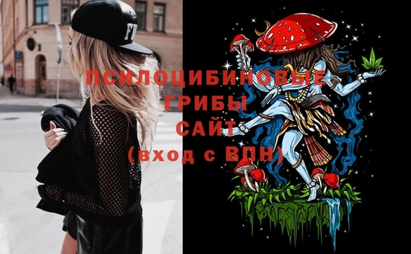 крисы Аркадак