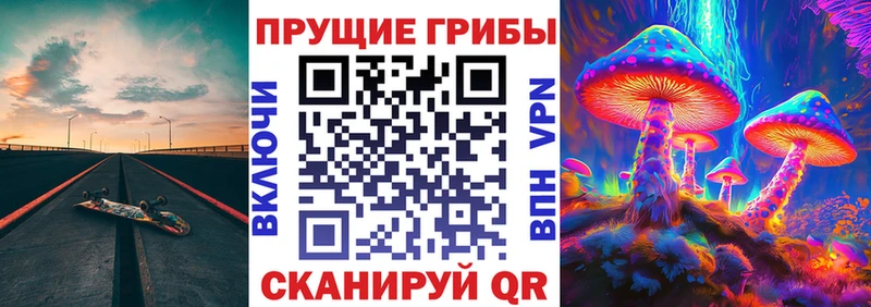 Псилоцибиновые грибы мицелий  маркетплейс как зайти  Тверь 