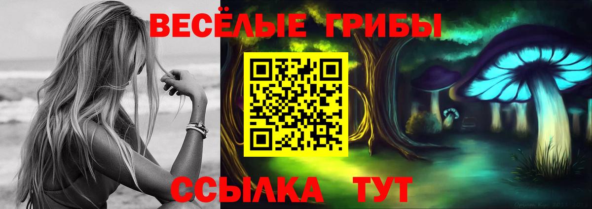 Псилоцибиновые грибы Psilocybe Тверь